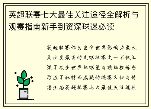 英超联赛七大最佳关注途径全解析与观赛指南新手到资深球迷必读 英超联赛七大最佳关注途径全解析与观赛指南新手到资深球迷必读